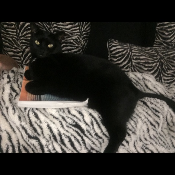 Meet your Posher, Jocelyn - Picture 1 of 1